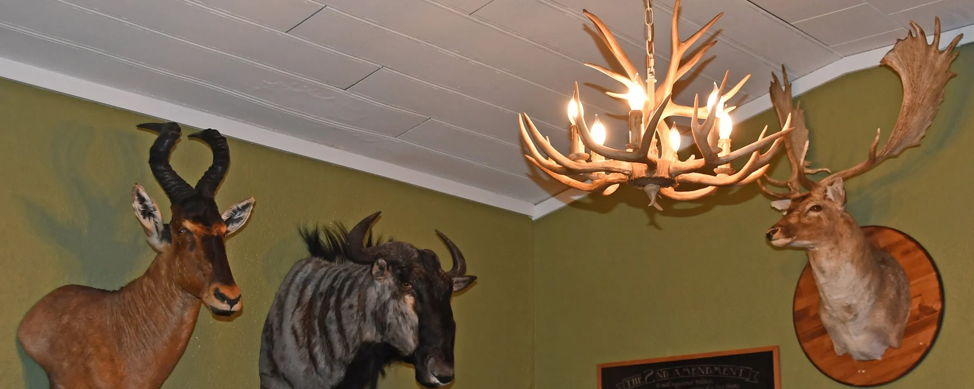 Knightrunner Blog Archive Banner Deer mounts inside the Knightrunner Tactical showroom