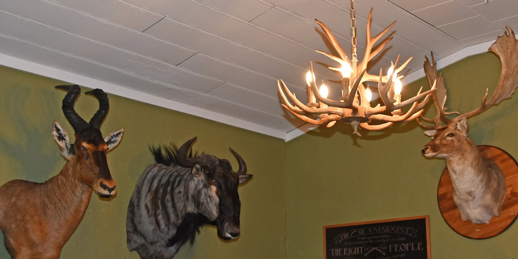 Knightrunner Home Banner 1 Taxidermy mounts and antler chandelier inside the Knightrunner Tactical showroom in Washington, Iowa